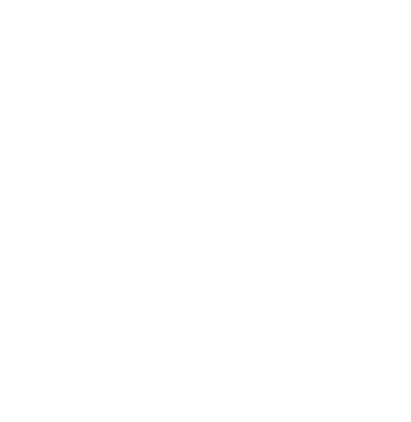5 Stripes Merch logo